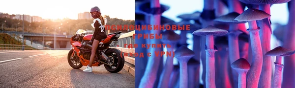 кокс Няндома
