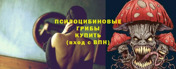 кокс Няндома